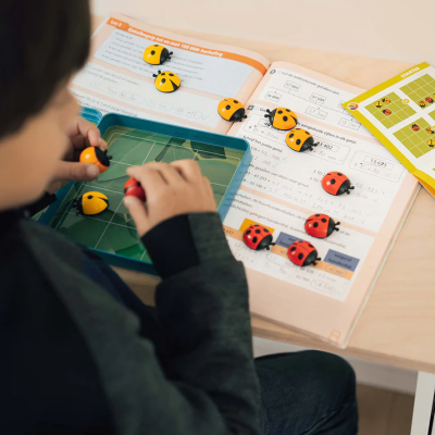 Logibugs, joc de logica cu 48 de provocari, 6+ ani, editie lb. Romana