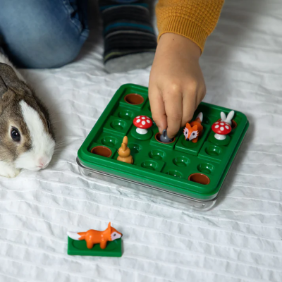 Jump'In, joc de logica cu 60 de provocari, 7+ ani, editie internationala